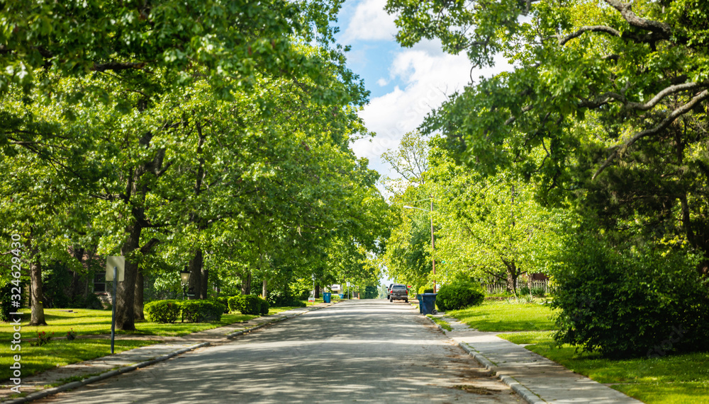 Route de parc verdoyant